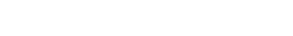 Roma service group logo(bianco)