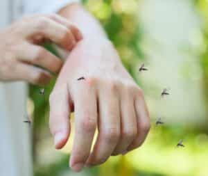 foto della mano di un ragazzo con tre zanzare intorno